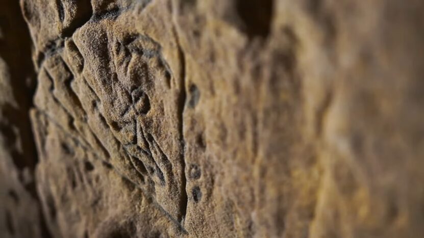 Surface of the Walls within Wabasha Street Caves in Minesotta. Concept for Silica Mining