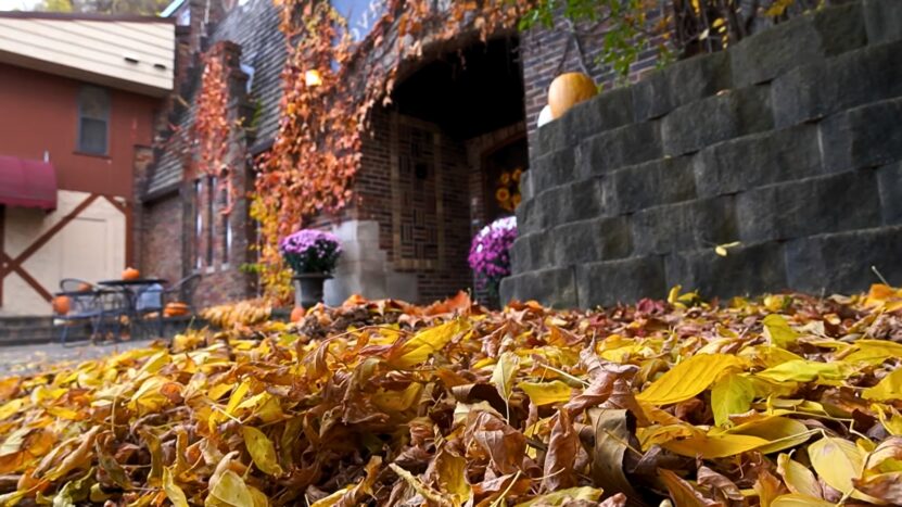 Wabasha Street Caves, Minnesota