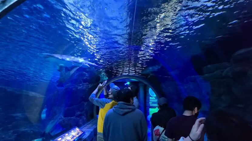 SEA LIFE at Mall of America